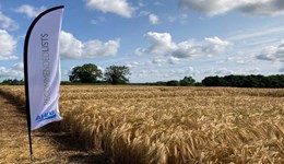 Variety performance in a challenging year (harvest results 2024)